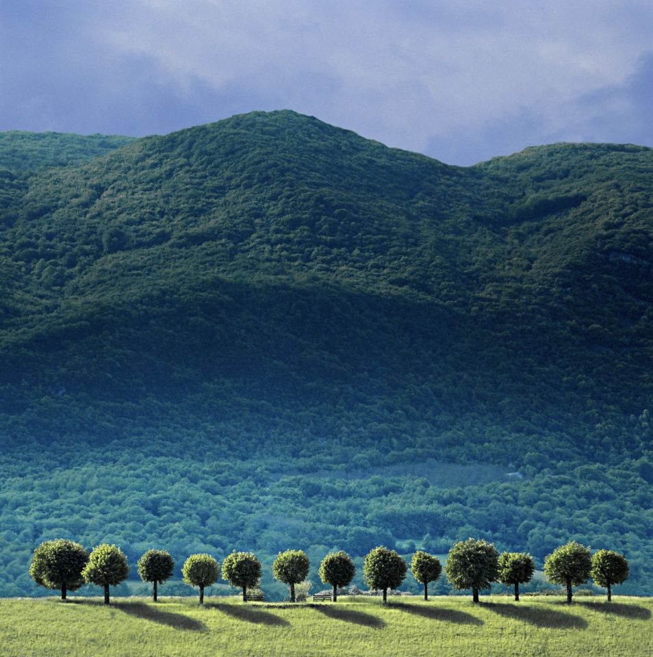 Valence France by Charlie Waite  Landscape Photograph for Sale  Limited Edition Signed Print 